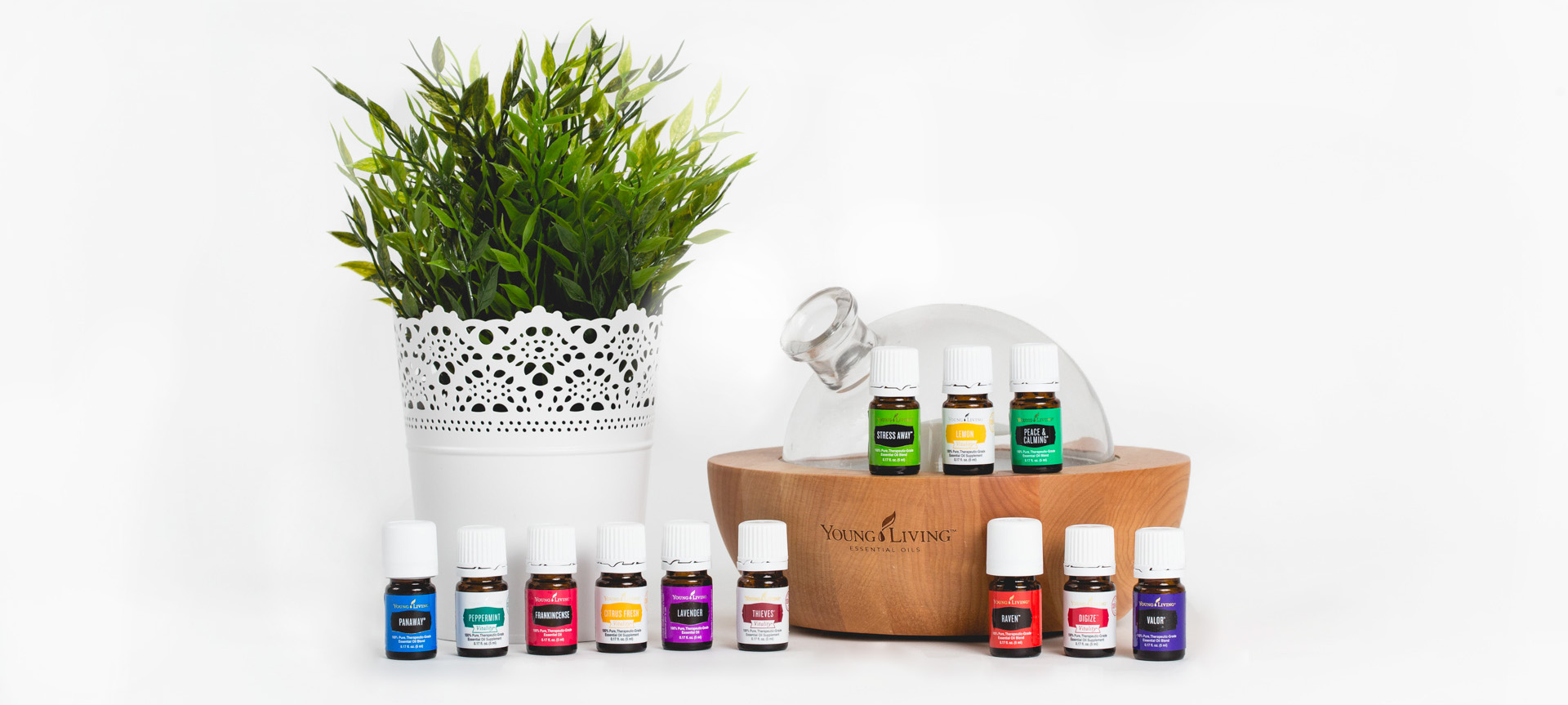 Young Living Premium Starter Kit Cindy Schultz